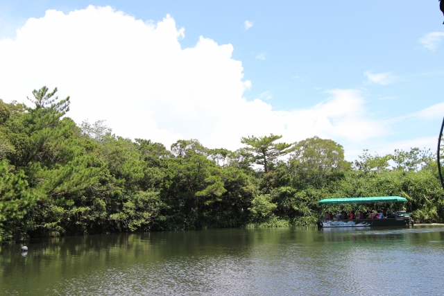 ビオスの丘 自然体験型テーマパークにある湖。おすすめのスポット