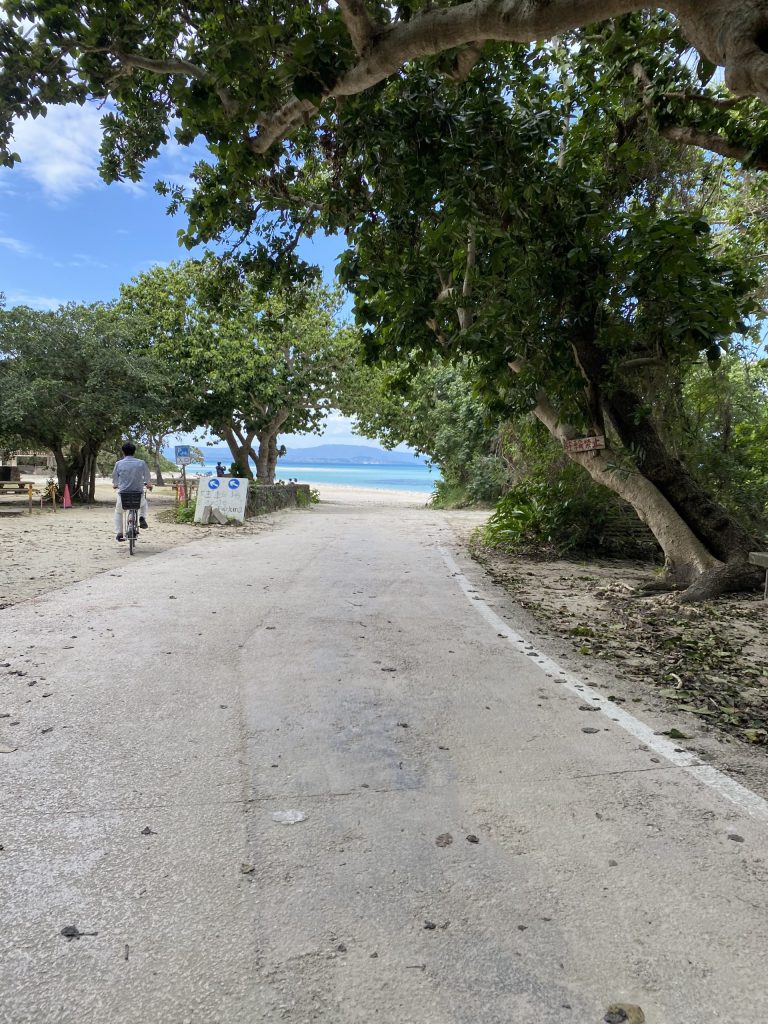 竹富島観光の一場面